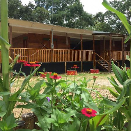 Hostal Cano Nevera Ла-Макарена Экстерьер фото